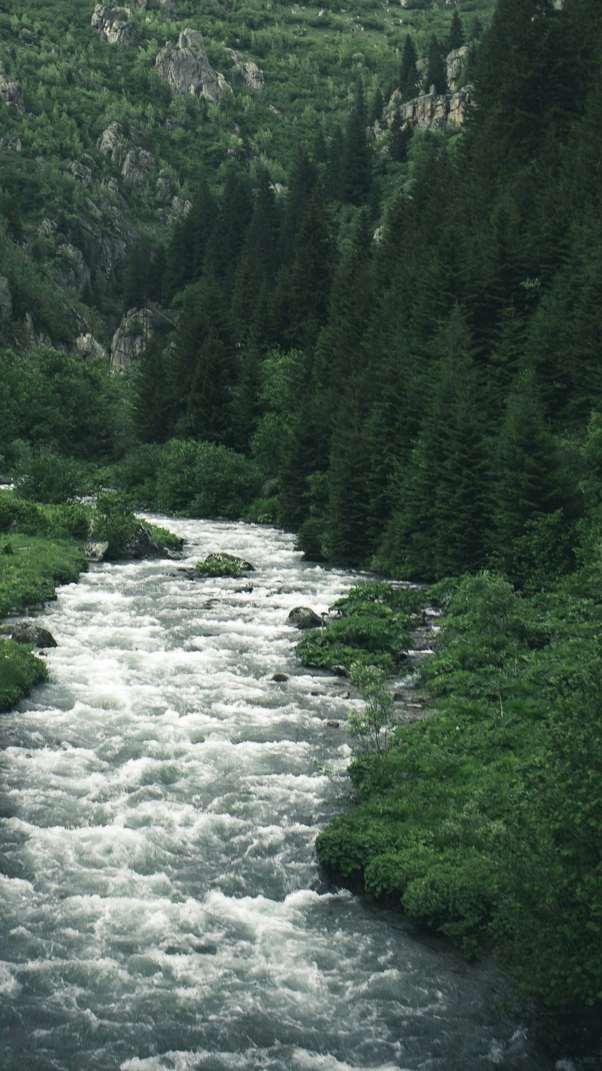80 flows the river