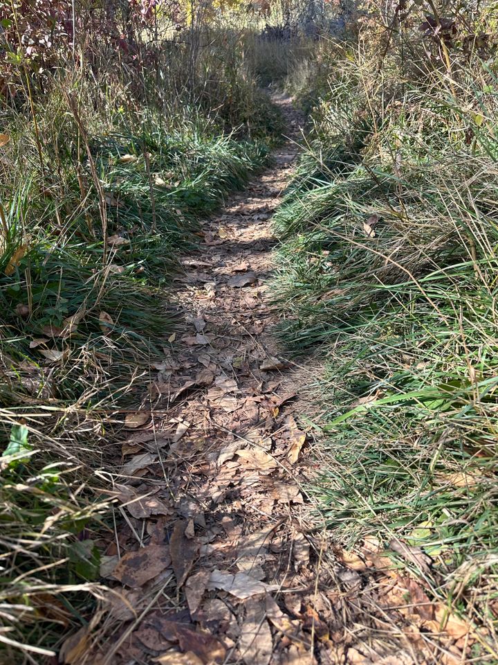 Pathways