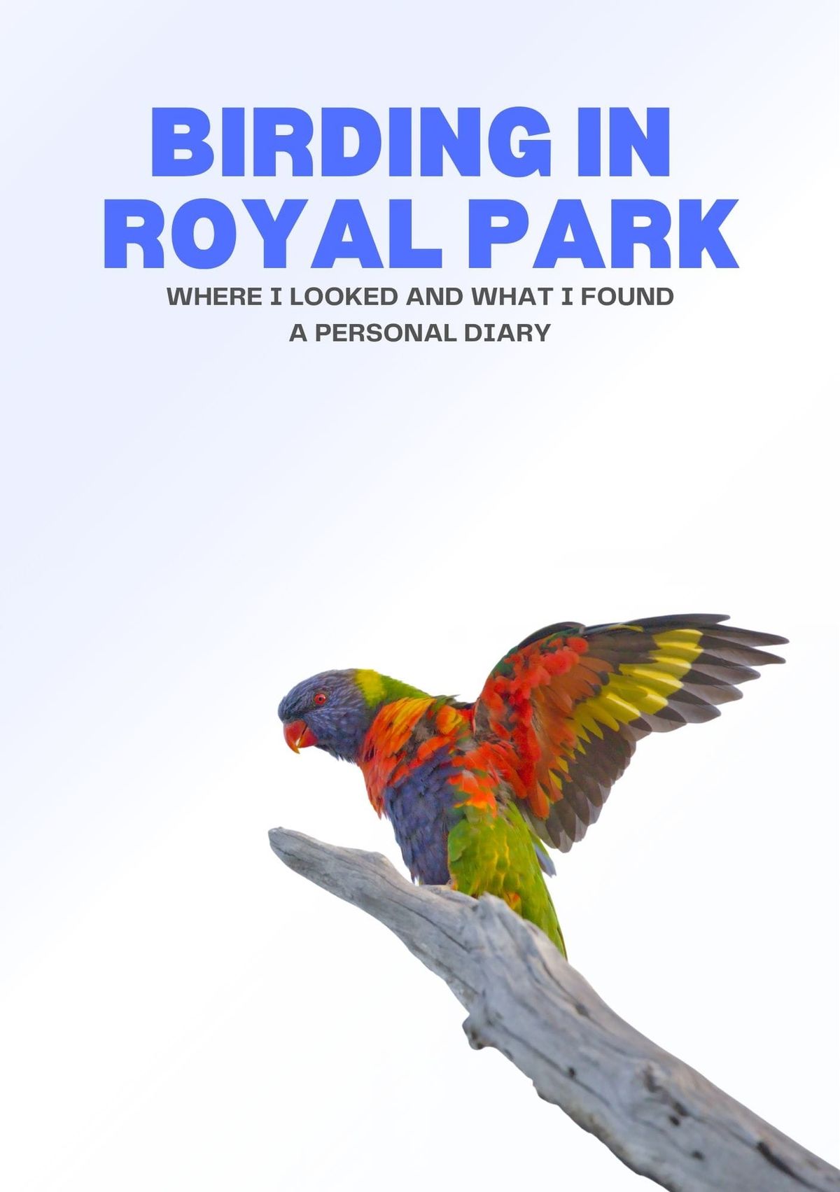 Birding in Royal Park