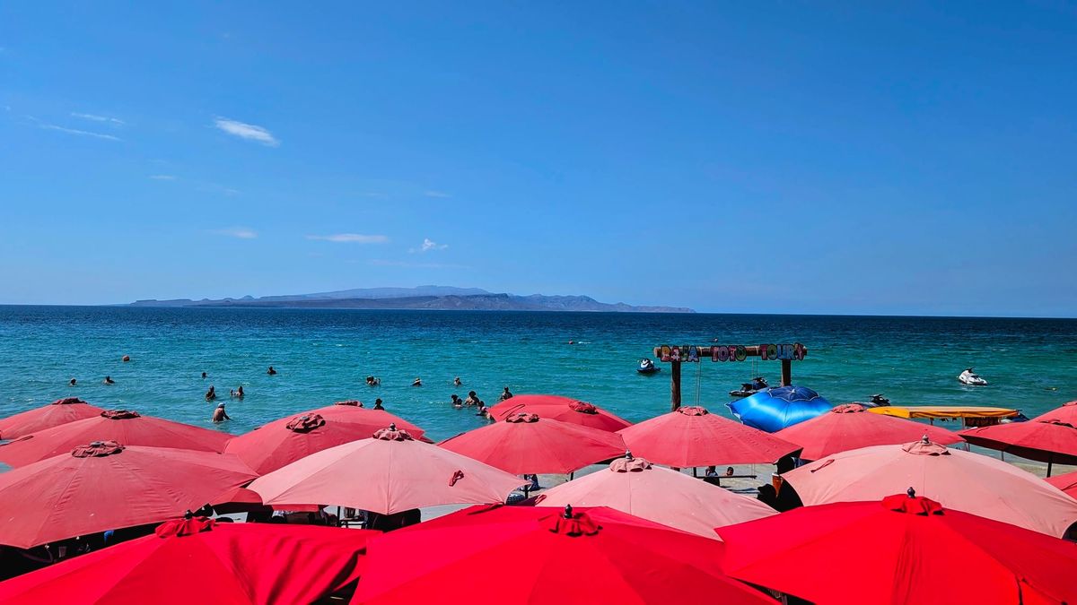 Dumped For ChatGPT, Why 'Ameri-can't, but Mexi-can,' and a Lemony Pasta Pleaser