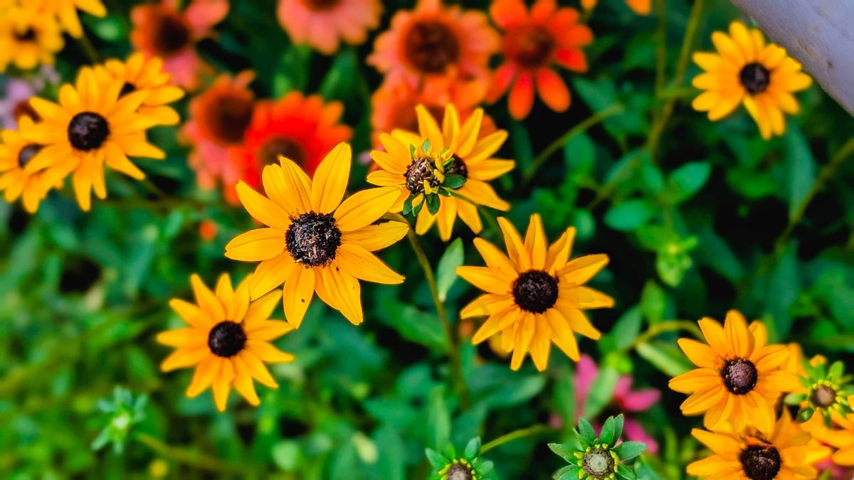 What Do You Do When You Can't Do Anything?