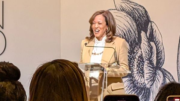 Kamala Harris Tried to Warn Folks, So This 'I Told You So' Was Earned