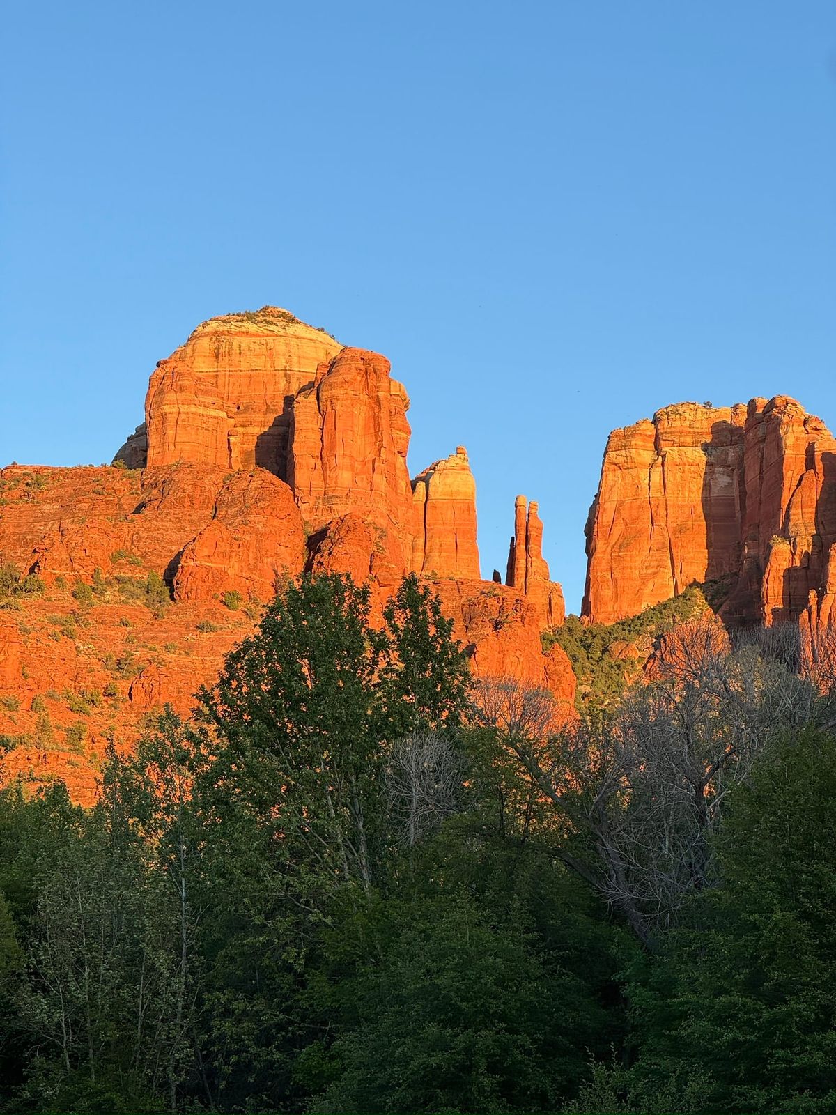 Cathedral Rock at Dusk