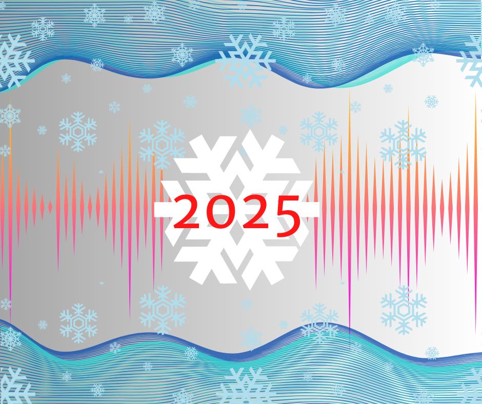 Red 2025 on top of a white snowflake between orange waveforms against a silver background. 