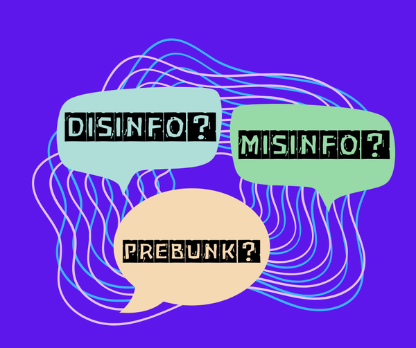 Speech bubbles reading 'DISINFO', 'MISINFO' and 'PREBUNK' hang in front of a wavy purple background.