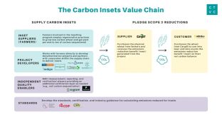 The Importance of Insets: where mitigation and offsetting mix