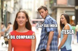 Tesla dips from ESG index #103