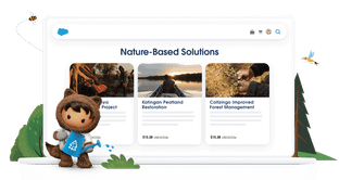 Salesforcing voluntary carbon credits #119