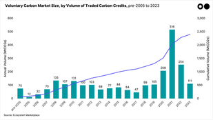 🌎 The UN gives (carbon) credit where it’s due #223