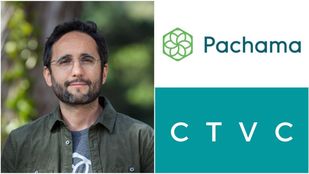 Seeing the forest from the trees on nature-based carbon removal