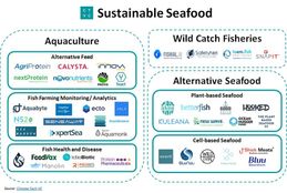 Turning the tide on sustainable seafood #49