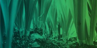 Deep dive into new dirt frontiers