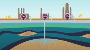 What can CCS learn from solar financing?
