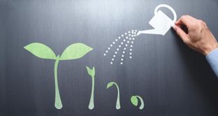 A running list of Climate Tech accelerators