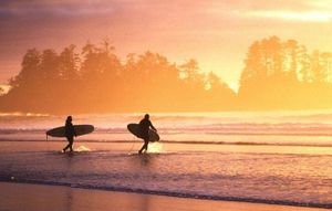 Movement as Medicine: How Natural Activity Heals Burnout and Fatigue