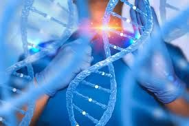 Functional Gene Restoration and Cancer Stem Cell Eradication in a Treatment-Resistant TNBC Case: A First-in-Human Paradigm Shift (summary)