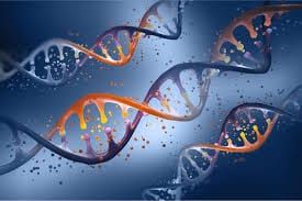 Triune Gene Restoration: A Patient’s Guide to Reactivating Silenced Genes (Without Editing)