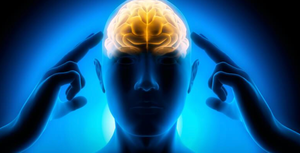 Quantum Self-Transformation: The Reality Collapse Protocol to Rewire Beliefs, Energy, and Reality