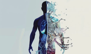 HUMAN TRANSFORMATION OS
