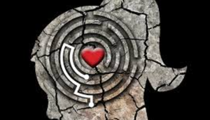 Aligned Desires | Create, embody and apply to life