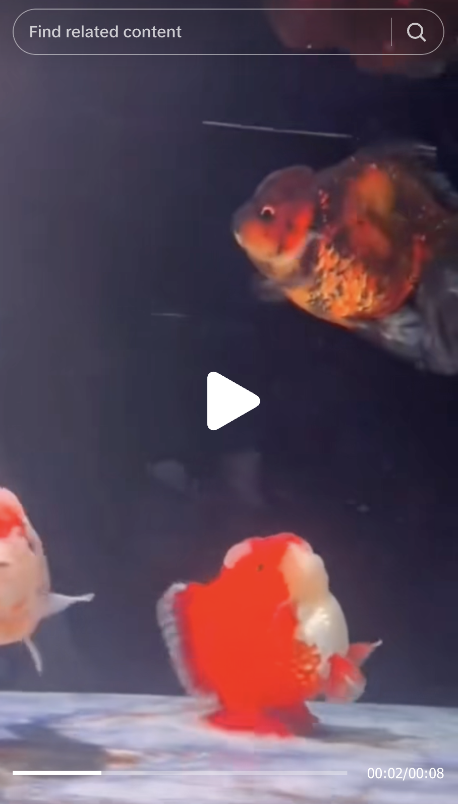 A TikTok video