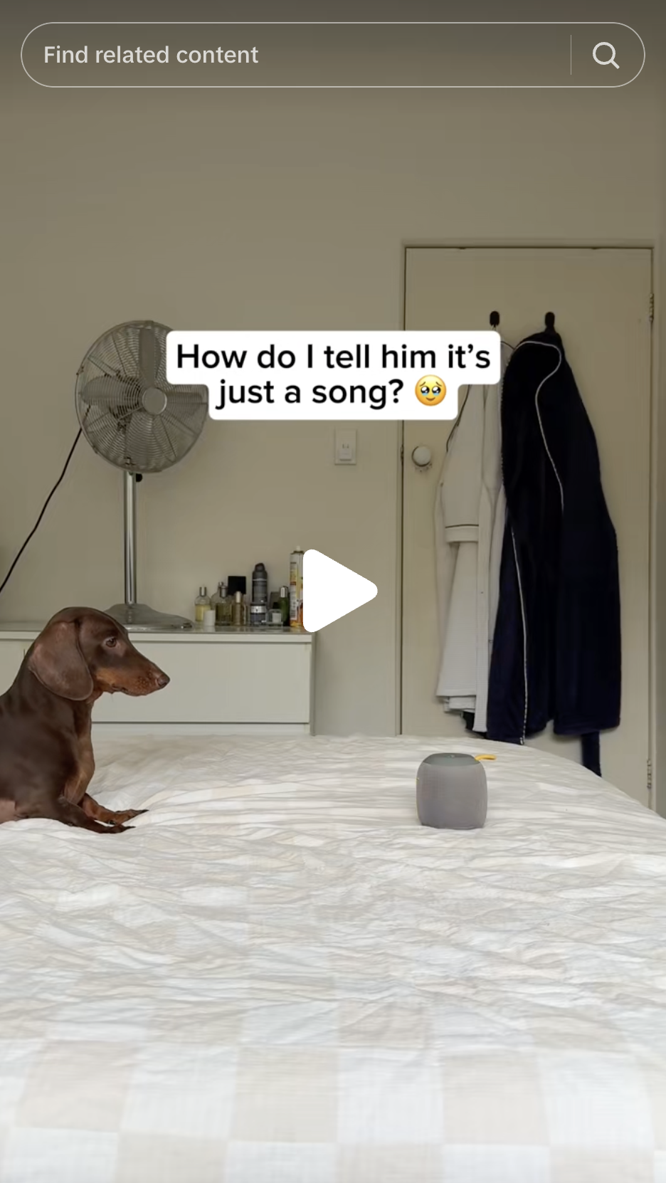A TikTok video