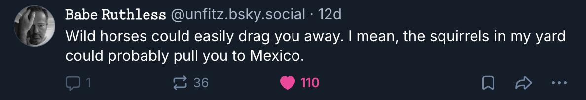 A Mastodon or Bluesky post