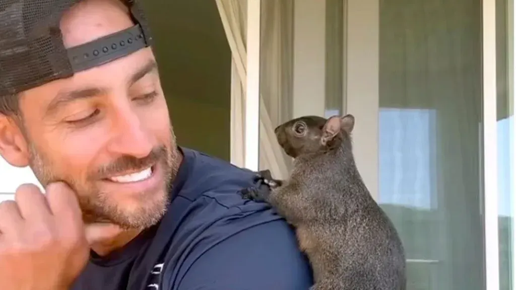 Dueños de Ardilla Viral Demandan a Nueva York por $10 Millones Tras Eutanasia de Mascotas