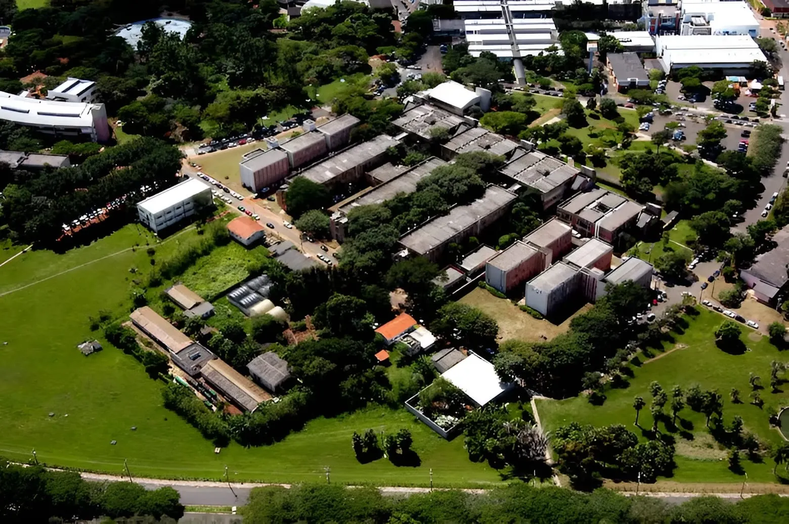 Profesora argentina es arrestada por robar en Brasil virus transgénicos en laboratorio de alta seguridad