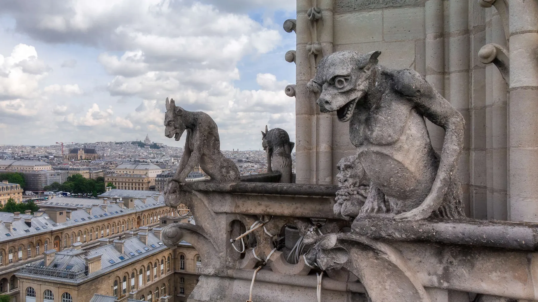 Bautizada como la "excavación del siglo", descubren el París romano y misterios medievales bajo Notre Dame