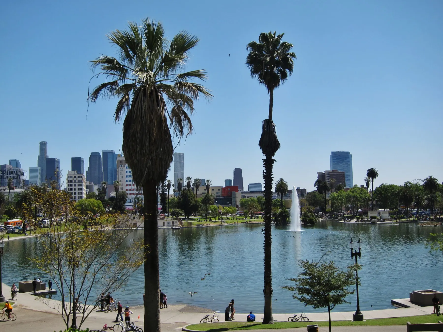 Golpe al narcotráfico en Los Ángeles: incautan miles de pastillas ilegales y más de 10.000 dólares en MacArthur Park