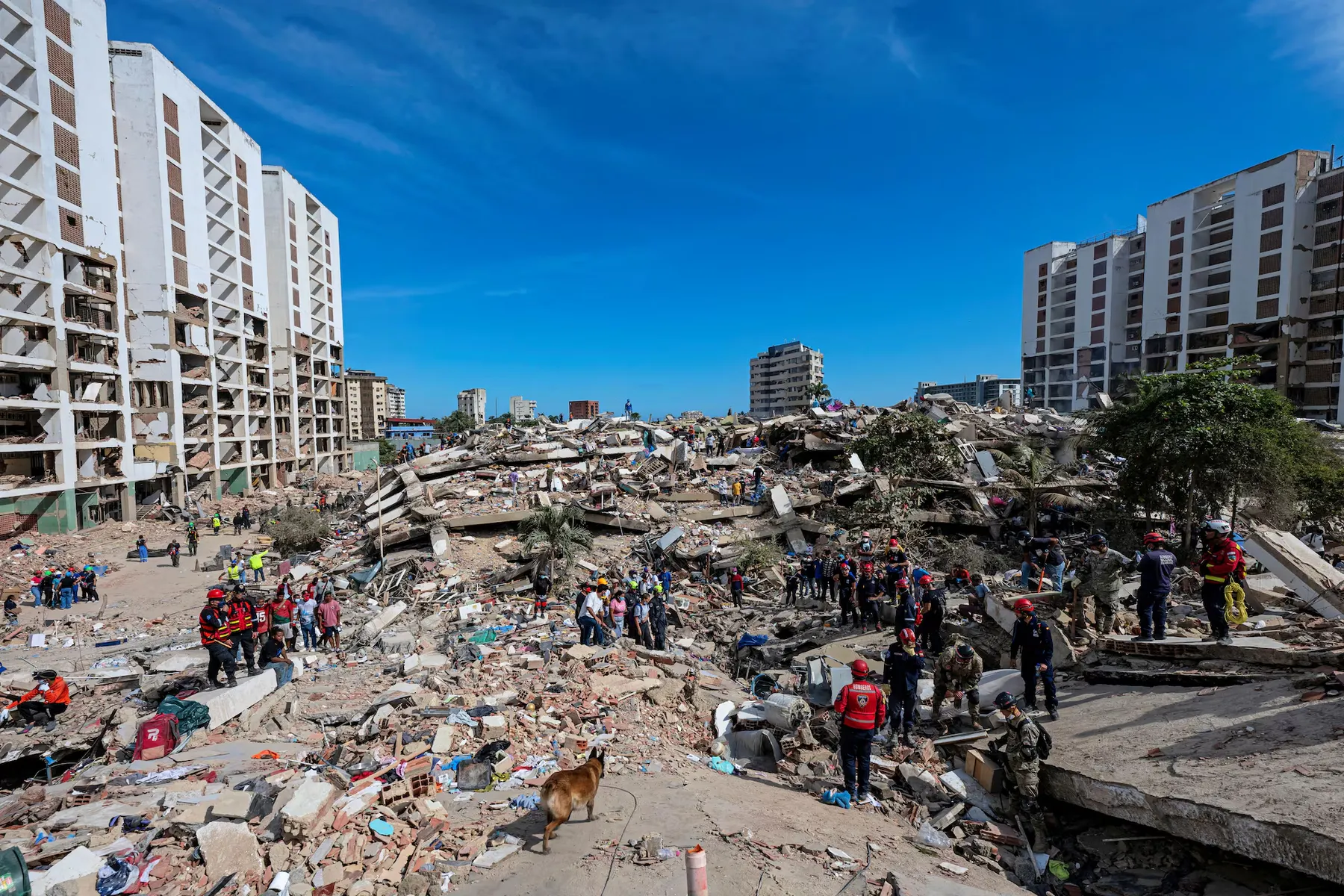 Estados Unidos aumenta a más de 300 millones de dólares la ayuda directa por los terremotos en Venezuela