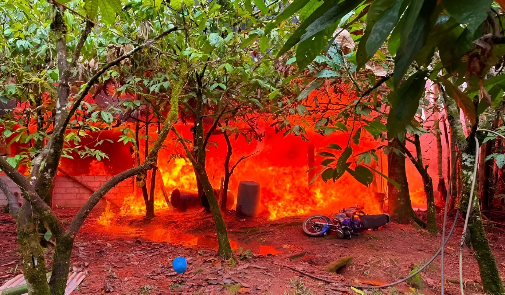 Las Fuerzas Armadas de Ecuador destruyen más de 100.000 plantas de coca en Sucumbíos
