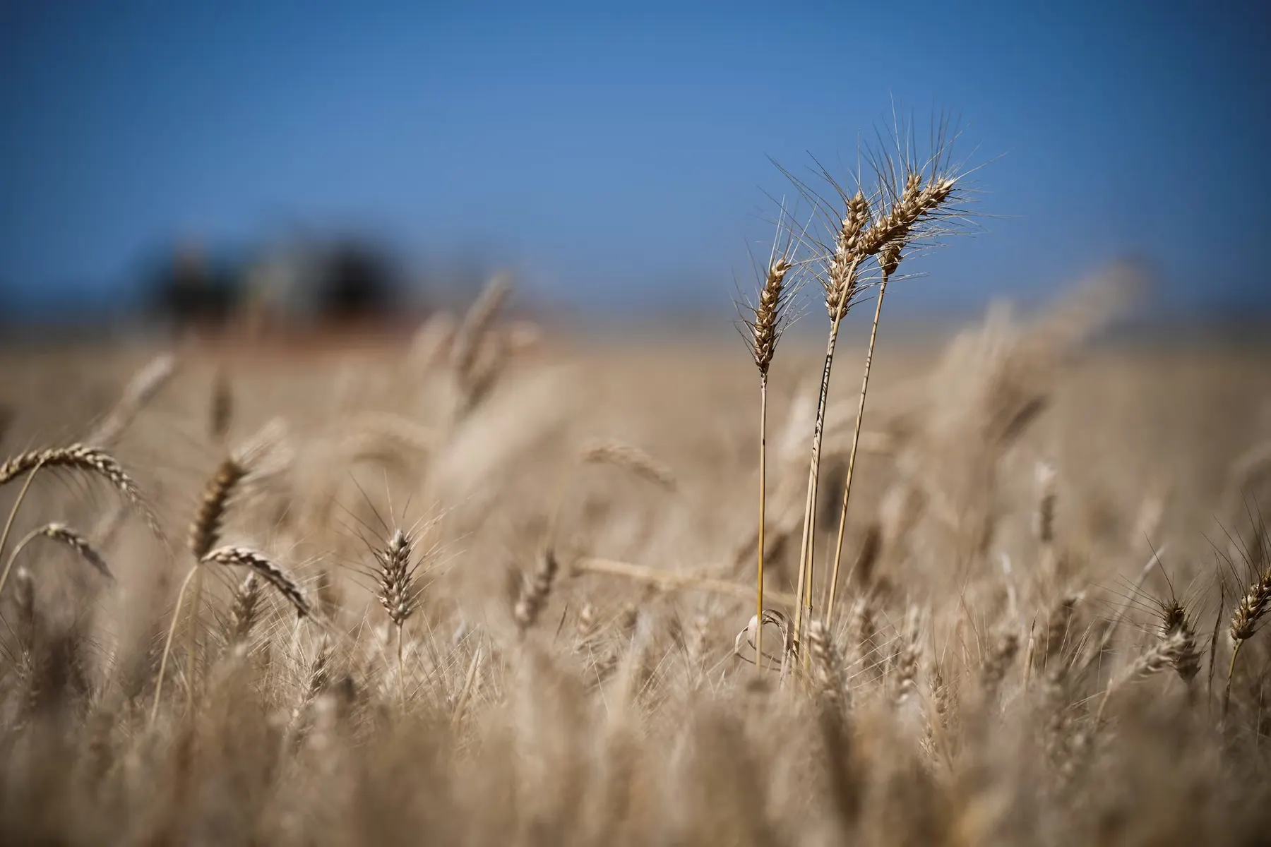 La OPS advierte que el fenómeno de El Niño tendrá importantes repercusiones sanitarias en América