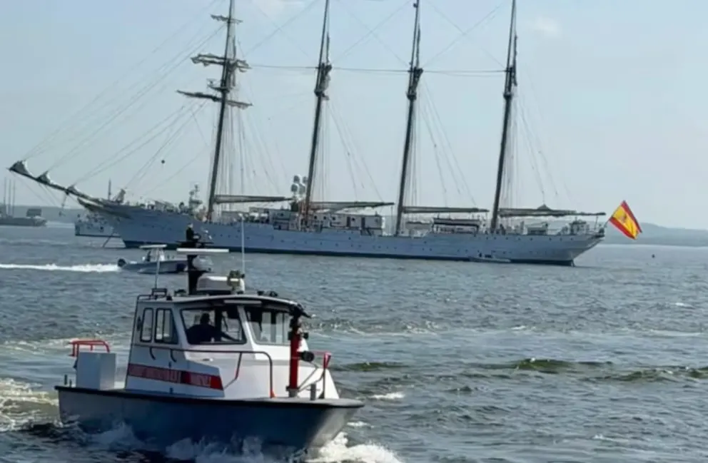 Rescate contrarreloj en Nueva Jersey: una ballena chocó y hundió una lancha de bomberos