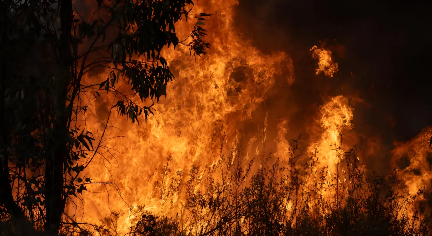 El incendio de Niebla azota a Huelva y alcanza un perímetro de 8.000 hectáreas