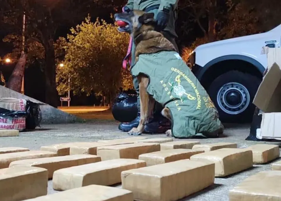 Gendarmería argentina incautó más de 940 kilos de marihuana en dos operativos estratégicos