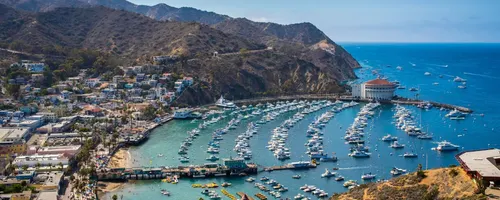 Alerta en California: cierran playa de Avalon por vertido de aguas tóxicas