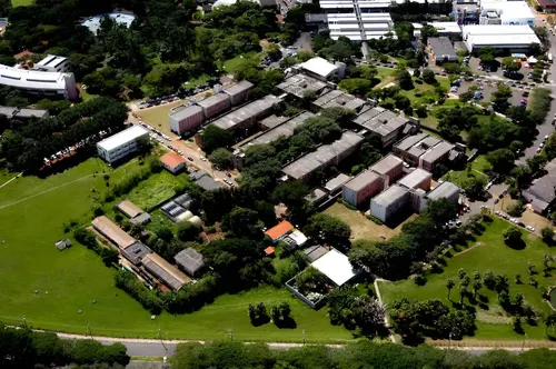 Profesora argentina es arrestada por robar en Brasil virus transgénicos en laboratorio de alta seguridad