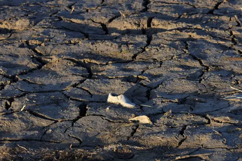 Texas proyecta inversión de USD 174.000 millones para frenar inminente crisis hídrica