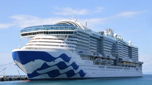 Un brote de norovirus afecta a más de 100 personas en un crucero de la compañía Princess Cruises