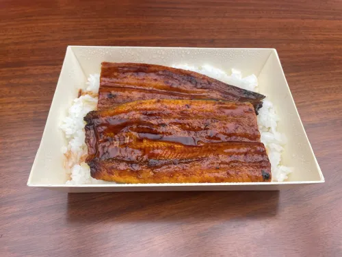 La ministra Sanae Takaichi celebra el hito histórico de la comercialización de la anguila de "cultivo completo" en Japón
