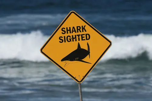 Un tiburón mata a un pescador en Australia en el tercer ataque mortal del año