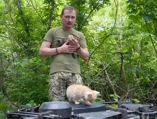 Fuerzas ucranianas rescata a una familia de gatos atrapada en la línea del frente de batalla