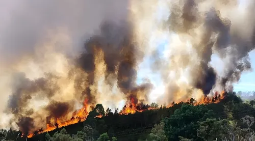 Incendio en La Coruña devora 260 hectáreas y avanza hacia el municipio de Teo en Situación 2