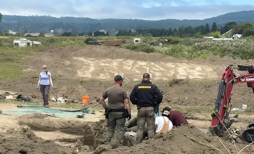 En California descubren fosa común con más de 100 perros ejecutados en un centro de rescate animal