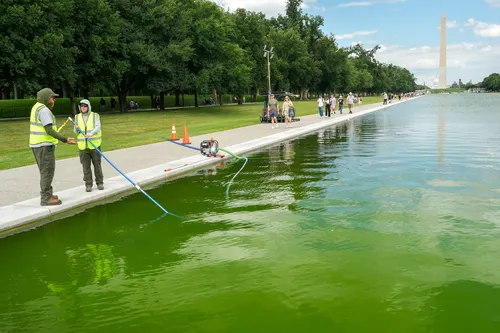 Donald Trump denuncia sabotaje en el Reflecting Pool de Washington: ordena el arresto de los vándalos y la restauración inmediata del monumento