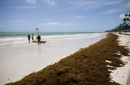 El sargazo amenaza la temporada turística en Punta Cana ante la llegada récord de 9 millones de toneladas de macroalgas
