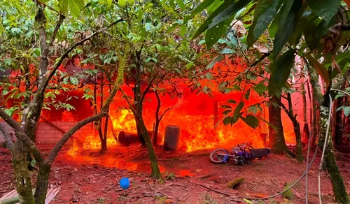 Las Fuerzas Armadas de Ecuador destruyen más de 100.000 plantas de coca en Sucumbíos