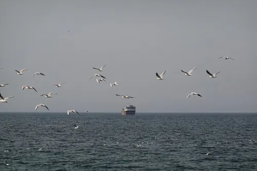 Estados Unidos revoca la licencia petrolera a Irán tras los ataques en el estrecho de Ormuz
